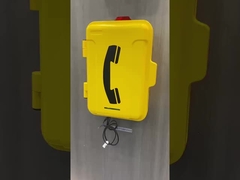 30 カメラ付き 天気防護電話